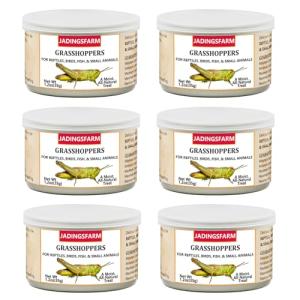 6 Pack Canned Grasshoppers for Bearded Dragons