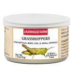 6 Pack Canned Grasshoppers for Bearded Dragons