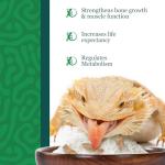 Calcium Powder for Bearded Dragons and Reptiles