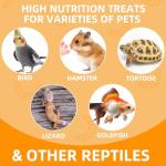 6 Pack Canned Grasshoppers for Bearded Dragons