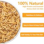 Freeze-Dried Mealworms for Bearded Dragons and Reptiles