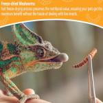 Freeze-Dried Mealworms for Bearded Dragons and Reptiles