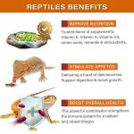 Gargeer 2oz Bearded Dragon Flower Salad Mix