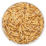 Freeze-Dried Mealworms for Bearded Dragons and Reptiles