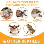 Freeze-Dried Mealworms for Bearded Dragons and Reptiles