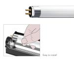 T5 UVB Light Bulb 2-Pack for Bearded Dragons