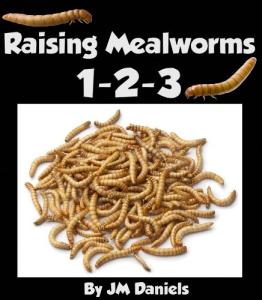 Easy Guide to Breeding Mealworms for Bearded Dragons
