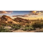 Blue Sky Oasis Cactus Reptile Habitat Background 36x18