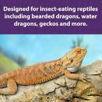 Mazuri Bearded Dragon Food - Insect Diet 8oz