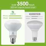 Reptile Heat Lamp Bulbs - 100W Basking Light