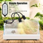 Double-Head Heat Lamp for Bearded Dragons & Reptiles