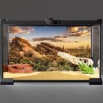 Blue Sky Oasis Cactus Reptile Habitat Background 36x18