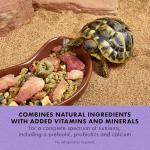 Zilla Herbivore Diet for Bearded Dragons, 4 oz