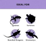 Zilla Reptile Munchies Fruits & Veggies Mix 4 oz