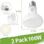 Reptile Heat Lamp Bulbs - 100W Basking Light