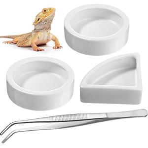 4-Piece Food and Water Bowl Set for Reptiles