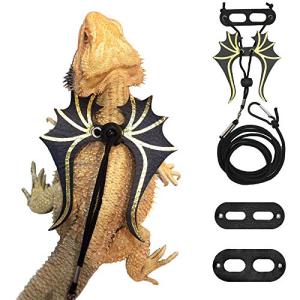 Bearded Dragon Harness and Leash Set - 3 Sizes