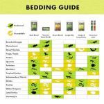 Bearded Dragon Substrate Floor Liner - Brown