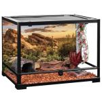 Blue Sky Oasis Cactus Reptile Habitat Background 36x18