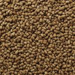 Mazuri Bearded Dragon Food - Insect Diet 8oz