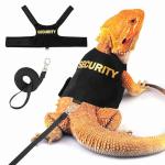 Bearded Dragon Harness and Leash Set - Escape Proof