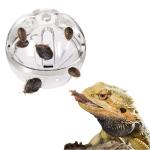 Bearded Dragon Interactive Foraging Ball Toy