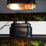 Aiicioo Dual Reptile Light Fixture for Bearded Dragons