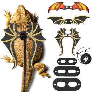 Bearded Dragon Leash and Harness Set with Wings