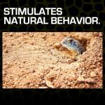 Exo Terra Red Desert Sand, 10-Pound Bag