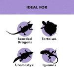 Zilla Herbivore Diet for Bearded Dragons, 4 oz