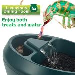 NEPTONION Reptile Drink Fountain with Snack Trough