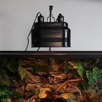 Aiicioo Dual Reptile Light Fixture for Bearded Dragons