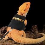 Bearded Dragon Harness and Leash Set - Escape Proof