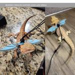 Bearded Dragon Leash and Harness Set with Sling Bag