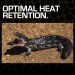 Exo Terra Red Desert Sand, 10-Pound Bag