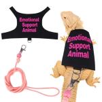 Bearded Dragon Adjustable Harness and Leash Set