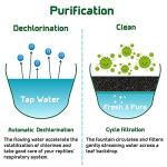 NEPTONION Reptile Drink Fountain with Snack Trough