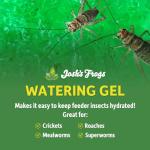 Insect Watering Gel for Bearded Dragons - 16 oz