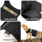 Bearded Dragon Harness and Leash Set - Escape Proof