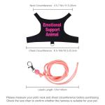 Bearded Dragon Adjustable Harness and Leash Set