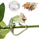 Bearded Dragon Interactive Foraging Ball Toy