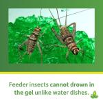 Insect Watering Gel for Bearded Dragons - 16 oz