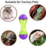 5-Piece Interactive Toys Set for Bearded Dragons