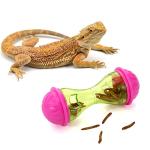 3 Pack Bearded Dragon Toys for Tank Enrichment