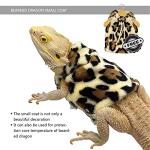 Bearded Dragon Adjustable Harness and Leash Set