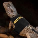 Bearded Dragon Harness and Leash Set - Escape Proof