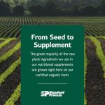 Thyroid Support Supplement for Bearded Dragons - 360 Tablets