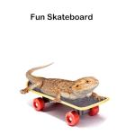 5-Piece Interactive Toys Set for Bearded Dragons