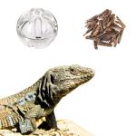Bearded Dragon Interactive Foraging Ball Toy