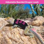 Bearded Dragon Adjustable Harness and Leash Set
